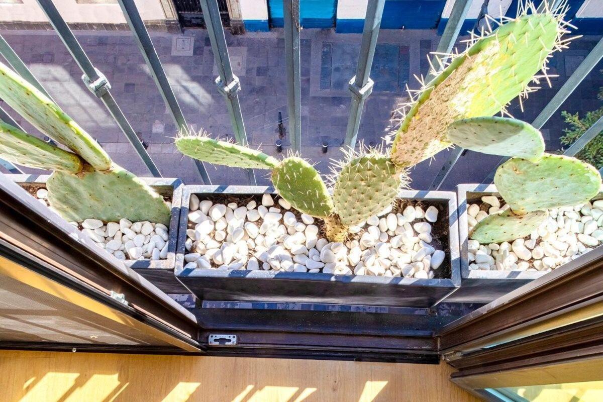 Loft Boho En El Centro Historico Imperdible Leilighet Mexico by Eksteriør bilde
